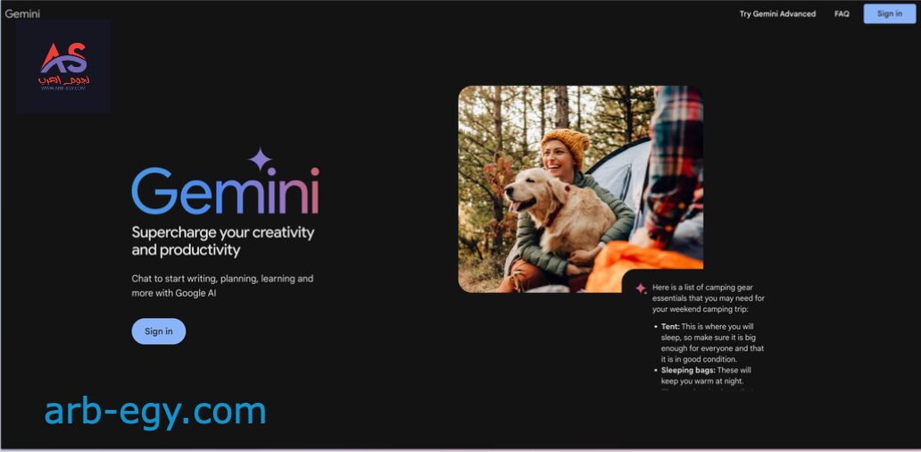 اذهب إلى gemini.google.com