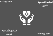 المبادئ الأساسية للتأمين - دليلك المختصر